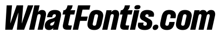 Formula Narrow Black Italic 2