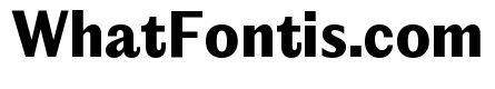 Editorial Sans Ultrabold 2