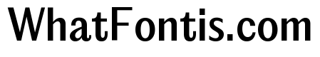 Editorial Sans Medium 2