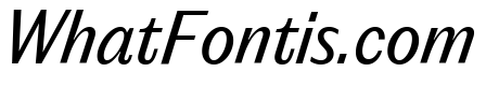Editorial Sans Italic