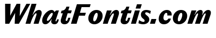 Editorial Sans Heavy