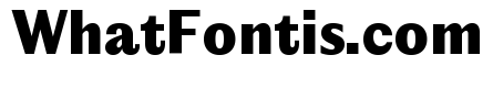 Editorial Sans Heavy 2