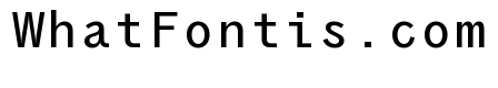 Air Regular 41