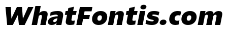 ReallySansSmall BlackItalic