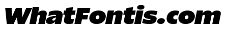 ReallySansLarge UltraItalic