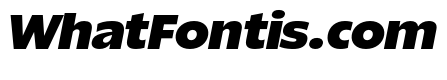 ReallySansLarge Extra BlackItalic