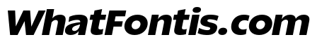 ReallySansLarge BlackItalic