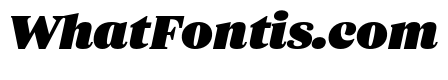 ParcloSerif UltraItalic