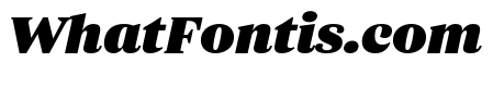 ParcloSerif ExtraBlackItalic