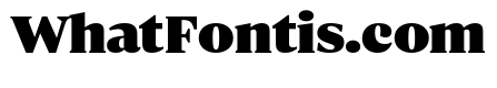 ParcloSerif ExtraBlack