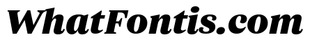 ParcloSerif BlackItalic
