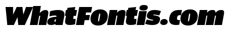 ParcloSansNarrow UltraItalic