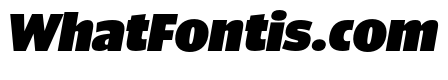 ParcloSansNarrow ExtraBlackItalic