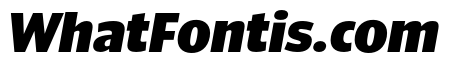 ParcloSansNarrow BlackItalic