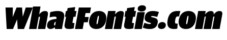ParcloSansCondensed UltraItalic