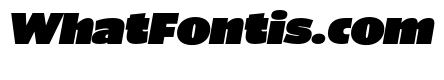 ParcloSans UltraItalic