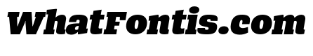 Bezzia UltraItalic
