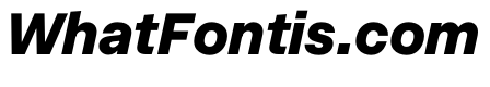 InnovatorGrotesk ExtraBoldItalic Instance