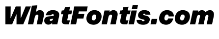 InnovatorGrotesk BlackItalic