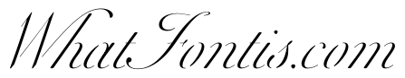 WorkhorseScriptStencil Fine Instance