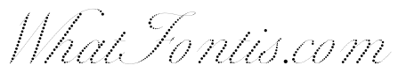 WorkhorseScriptDot Fine