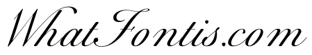 WorkhorseScript Display Instance