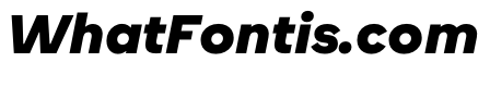 WorkhorseNouveauTracking BlackOblique Instance