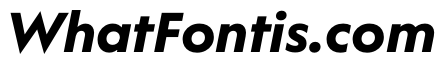WorkhorseGeometric TextBoldOblique Instance