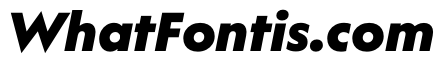 WorkhorseGeometric TextBlackOblique Instance