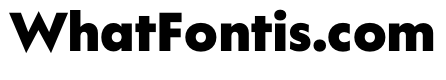 WorkhorseGeometric TextBlack Instance