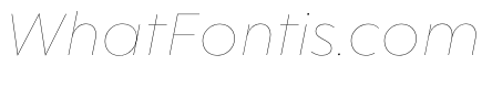 WorkhorseGeometric MicroHairlineOblique Instance