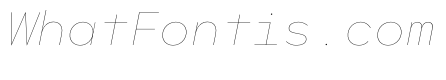 WorkhorseGeoMono HairlineOblique Instance
