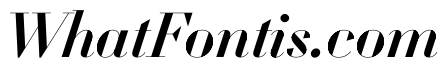 WorkhorseDidotItalic MediumItalic68 Instance