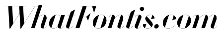 WorkhorseDidotItalic MediumItalic178 Instance
