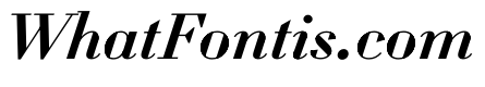 WorkhorseDidotItalic MediumItalic16 Instance