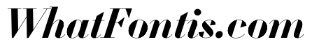 WorkhorseDidotItalic BoldItalic68 Instance
