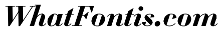 WorkhorseDidotItalic BoldItalic16 Instance