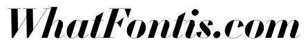 WorkhorseDidotItalic BoldItalic110 Instance