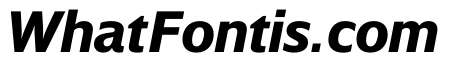 WTSaltburn HeavyItalic Instance