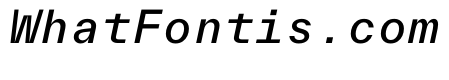 TWKEverettMono BookItalic