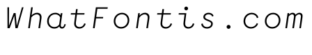 WTGartonSansPlain SemiLightItalic