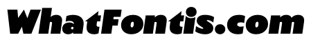 WTAptaKayo StandardItalic