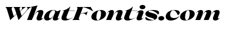 Pilote BlackItalic