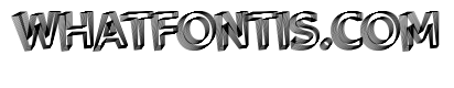 WHOASpine Mild Instance