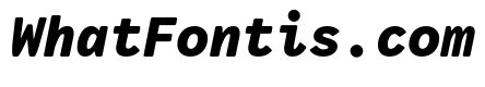 VCTRMono BlackItalic