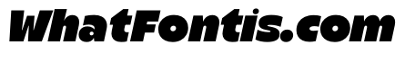 Stranger BlackItalic Instance