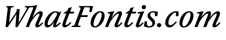 Paragraf MediumItalic
