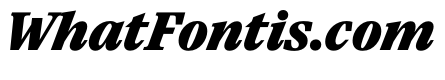 Paragraf HeavyItalic