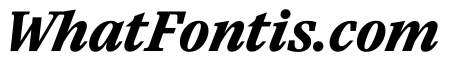 Paragraf BlackItalic