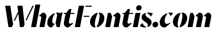 MinSansStencil BlackItalic